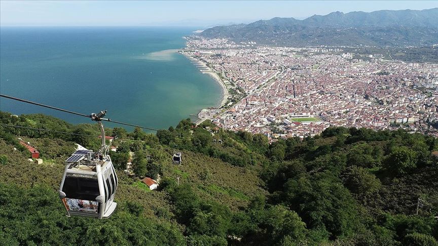 Ordu Web Tasarım