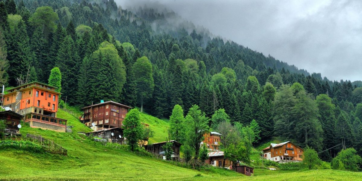Rize Web Tasarım
